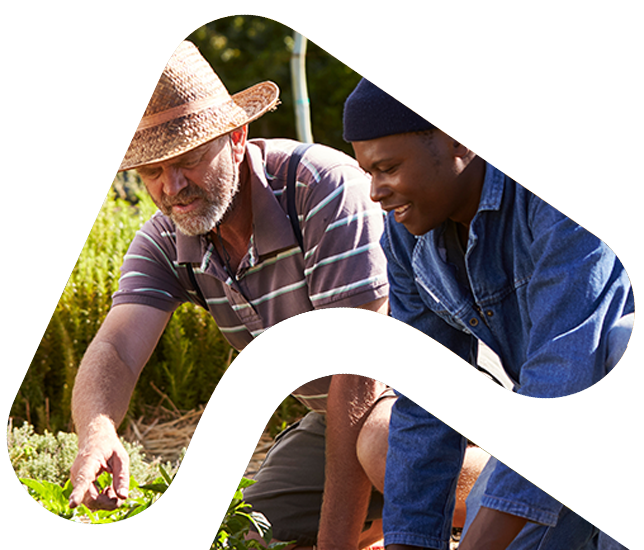 Volunteer planting crops with a farmer