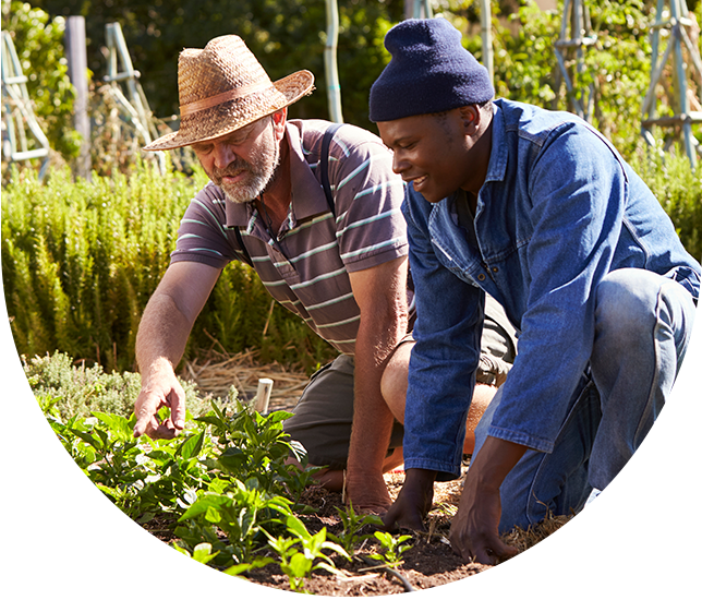 Volunteer planting crops with a farmer