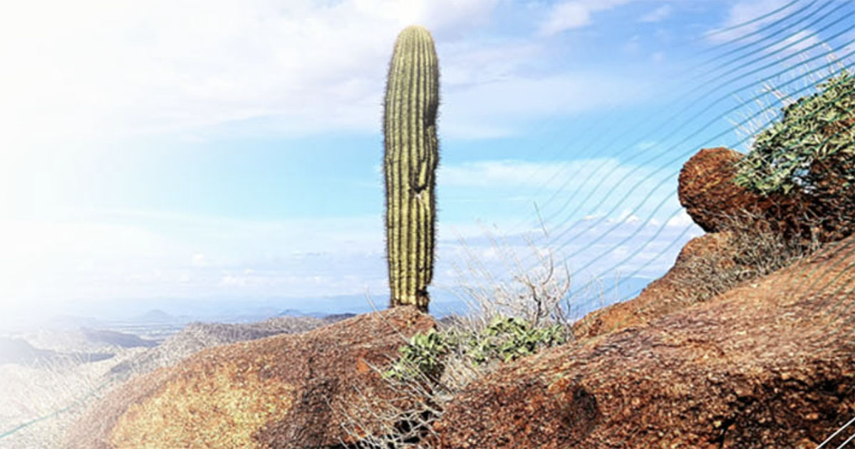 The west s premier banking experience now in arizona umpqua bank